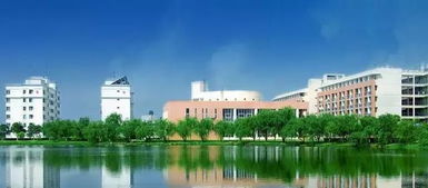 廣東這三所高職院校為何多次受國家點(diǎn)名