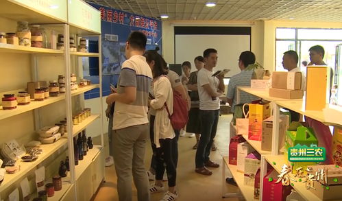 數(shù)說貴州 數(shù)字鄉(xiāng)村的貴州實踐，智慧生活織就智富夢